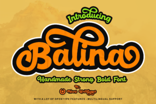 Choosing the Right Font: Balina for a Modern Web Design