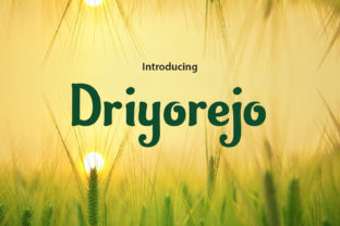 Discover the Magic of Driyorejo for Your Brand