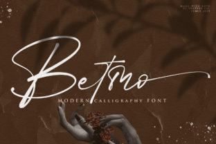 Font That Elevates Your Brand: Betmo