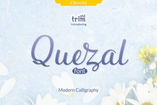 Quezal: A Playful Script Font for Creative Branding