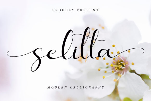 Selitta: A Hand-Lettered Font for Captivating Campaigns