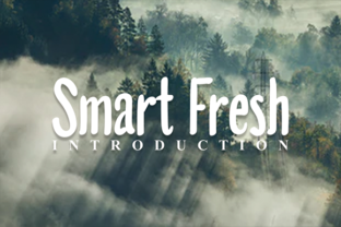 Smart Fresh: The Perfect Font for Handmade Creators